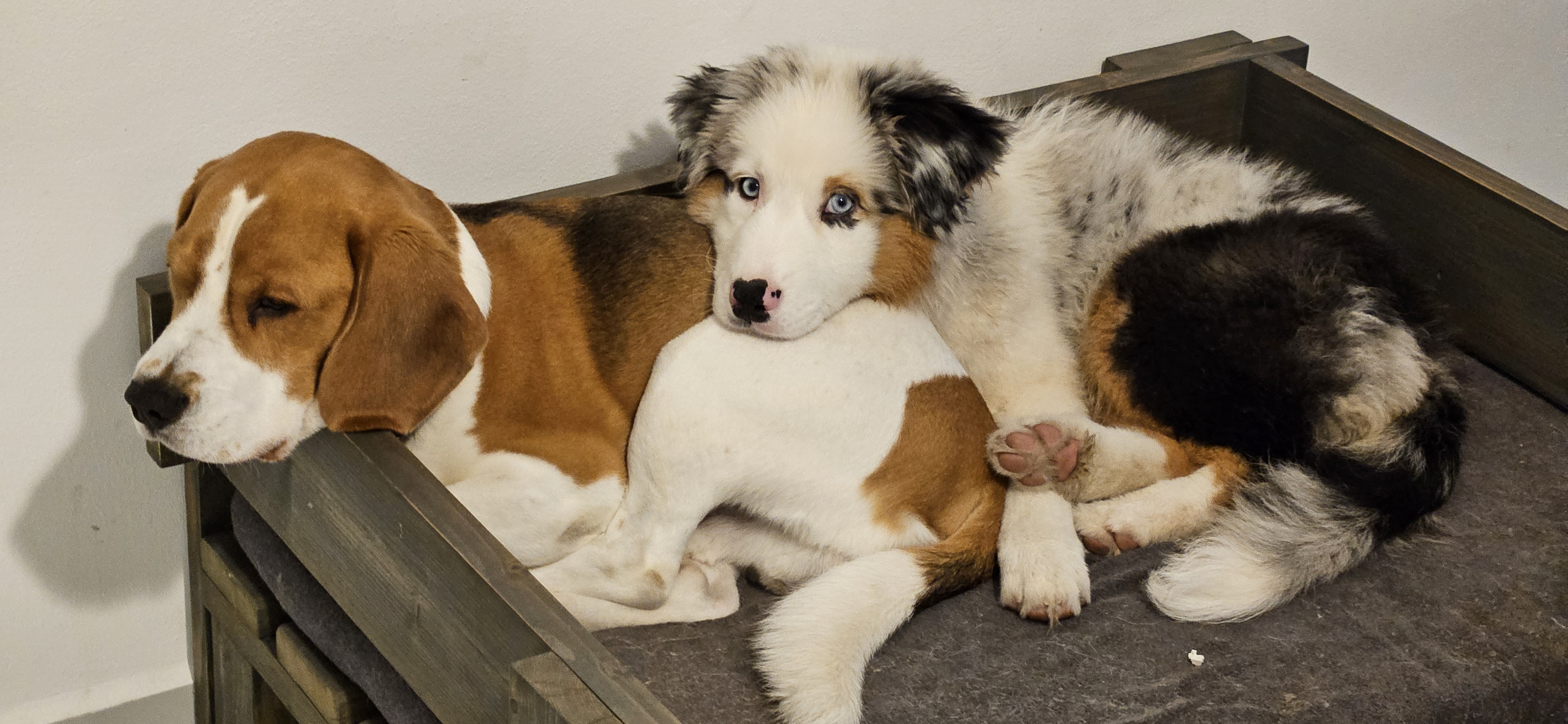 Kup teď na jeden denn